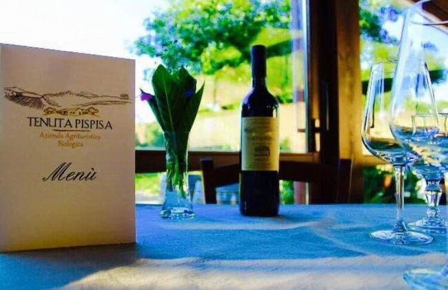 Agriturismo Tenute Pispisa Segesta - Foto 17