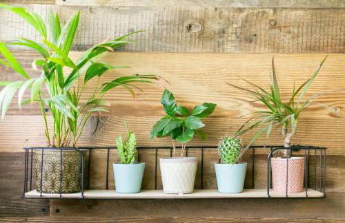 Geographer´s Cottage - Foto 19