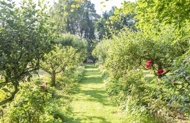 Lotus Belle Tents Sleeping up to 7 Guests - Foto 11