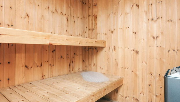 10 Person Holiday Home in Blavand - Foto 3, Sauna