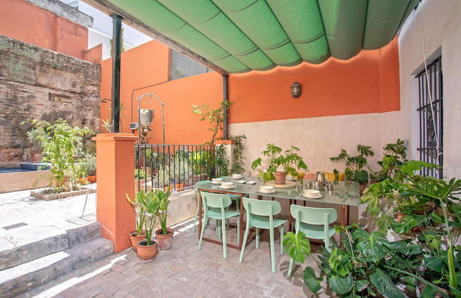 Genteel Home Tintes - Photo 11