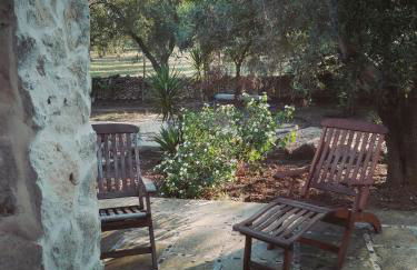 Agriturismo Masseria Pallanzano CON PISCINA - Foto 69