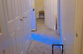 Peaceful, Cosy and Central Stay in Nottingham - Photo 14