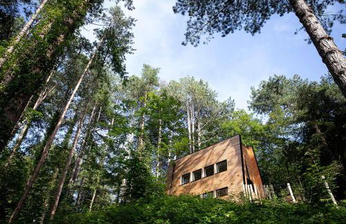 Bain de forêt - Lodges Cosy & Spa - Foto 29