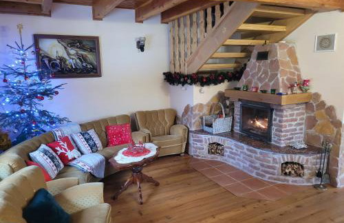 Dom w Górach Sowich Niedźwiedzia Gawra, Michałkowa - Foto 9