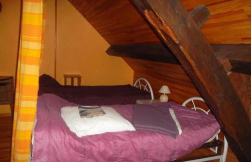 Grand gîte à Barrais-Bussolles avec cheminée et animaux acceptés - FR-1-489-21 - Foto 14