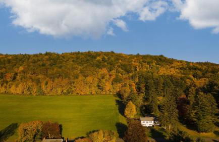 Whitney by Avantstay Private Berkshires Estate - Photo 78