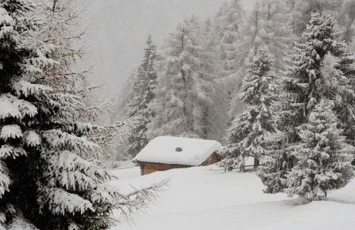 Pejo Appartamenti Pegolotti - Foto 28