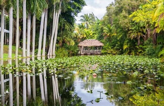 Delight Retreat Apt 4 Min Walk to Beach - Foto 41