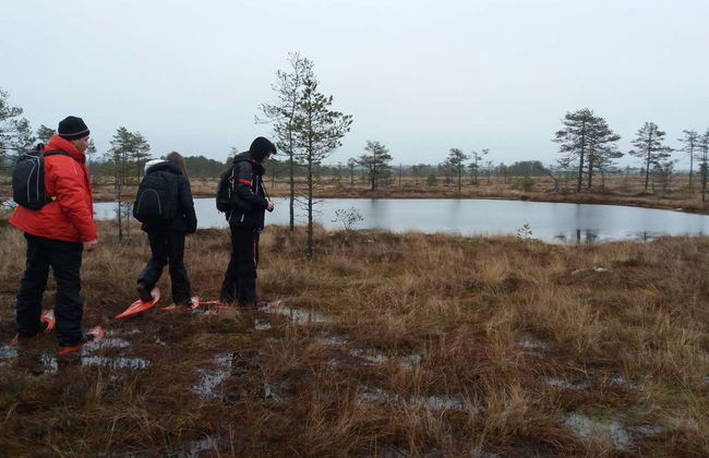 Tallinn Snowshoe Hiking Tour - Foto 6