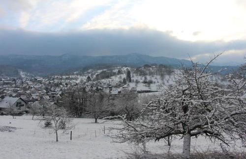 Ferienwohnungen Brack in Gaggenau - Foto 27