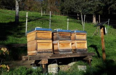 Ferienwohnung Koch - Foto 20