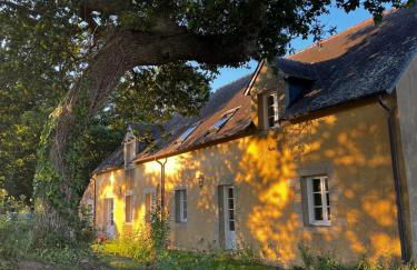Les Cocons d'Agathe - Penn ar Gwel - en campagne à 5 min des plages - Foto 8