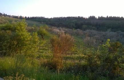 La Cantinetta di Barberino - Foto 7