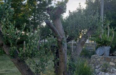 Novouređeni apartman Marko - Foto 45