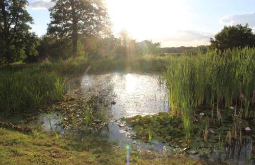 Gîtes à l'ombre des chênes - Foto 73