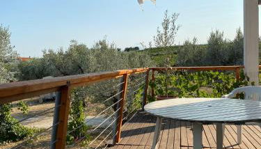 La Casa tra gli Ulivi - Cottage in legno - Foto 4