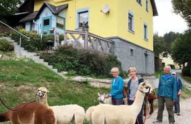 Ferienhaus im Kumbachtal - Foto 37
