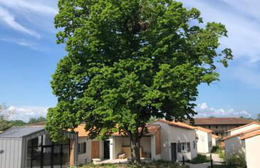 Résidence Grand Tilleul - Photo 10