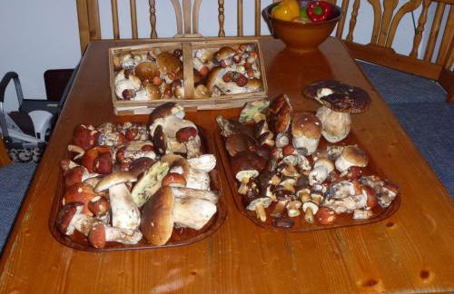 Ferienwohnungen Anneliese&Fritz Wagerer - Photo 45