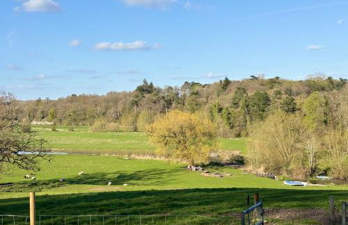 Outlook farm cabin firepit - Photo 26