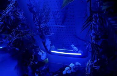 Spa-Sauna-Ciel de pluie tropicale-Champagne Nuit Romantique - Escapade Mâconnaise - Foto 46