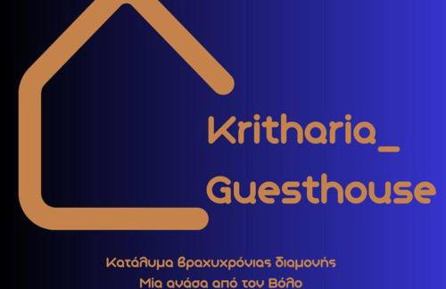 Kritharia Guesthouse Volos - Foto 27