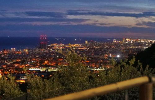 AAA View Private Terrace Outdoor Heated Hot Tub Family Fun - Photo 31