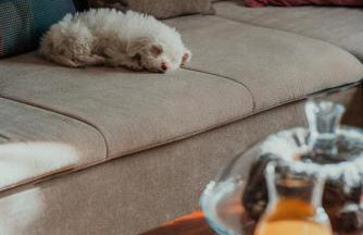 Holiday home Jukan - Foto 32