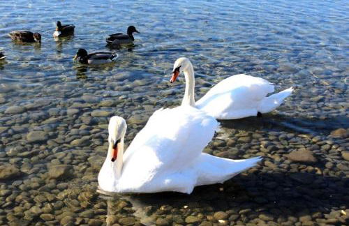 Ferienwohnung Haus Michel, 90 Qm - Foto 27