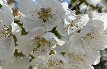 Bastidon, Petite bastide pour 2 avec bassin et jardin privé - Foto 51
