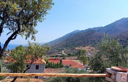 Studio Tsiliviani - Foto 23