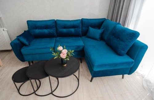 Silvia Apartment Gliwice Karolinki 78 - Foto 37