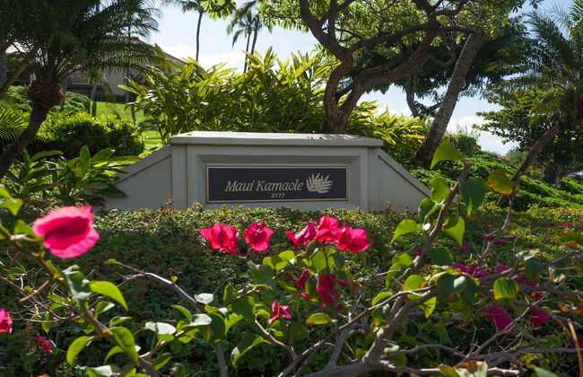 Maui Kamaole - Photo 1