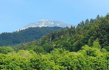 Ferienwohnung Belchenblick - Foto 32