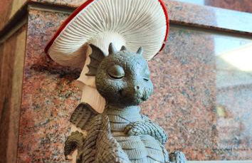 Drachennest - die tierfreundliche Ferienwohnung - Foto 3