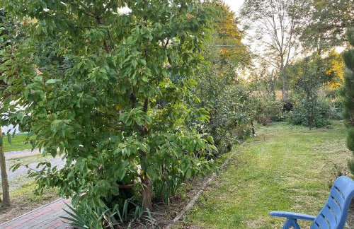 Agroturystyka ROGALA - Foto 34