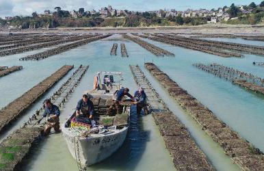 La Maison des Dunes - Foto 31