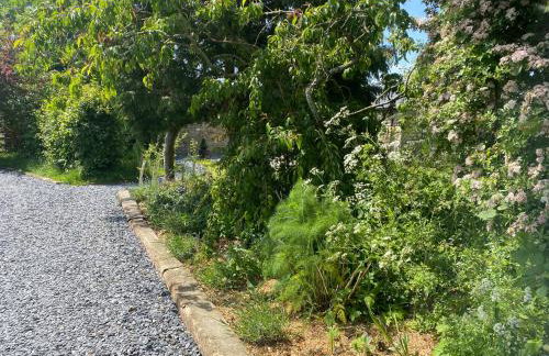 New purpose built holiday lodge - Foto 21