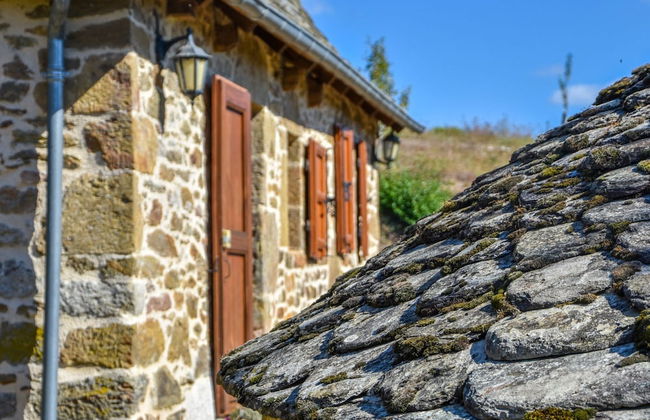 Holiday Home in Auvergne With Roofed Garden and Terrace - Foto 44