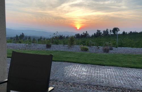 Quinta BEMBOA Turismo Espaço Rural - Foto 45