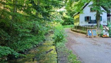 Charlottes Waldresidenz - Foto 4