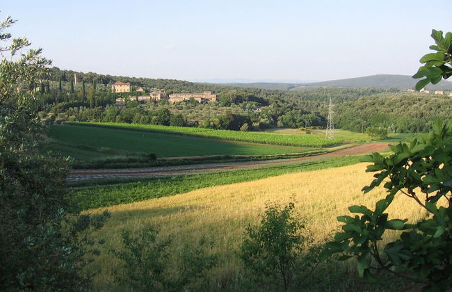 Agriturismo Podere Ficareto - Foto 66