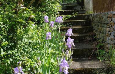 GITE BAS-EN-BASSET, HAUTE-LOIRE, MAISON et JARDIN ATYPIQUE PLEINE NATURE - Foto 7