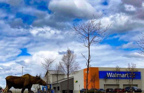 Sneaky Moose Townhome 2BR 2BA - Foto 44