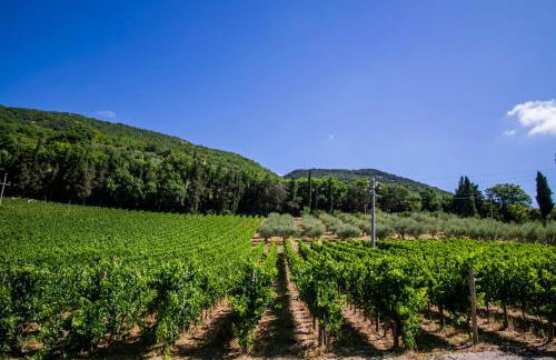 Cantina Semonte Wine Resort - Foto 9