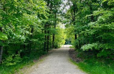 Allegra Appartements, Region Bostalsee - Foto 49