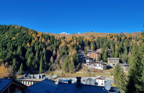 Bellavista - Foto 16