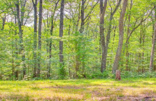Cozy Appalachian Getaway 5 Mi to Prospect Peak! - Photo 34
