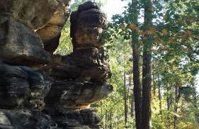 Ferienwohnung Zum Lilienstein - Foto 37